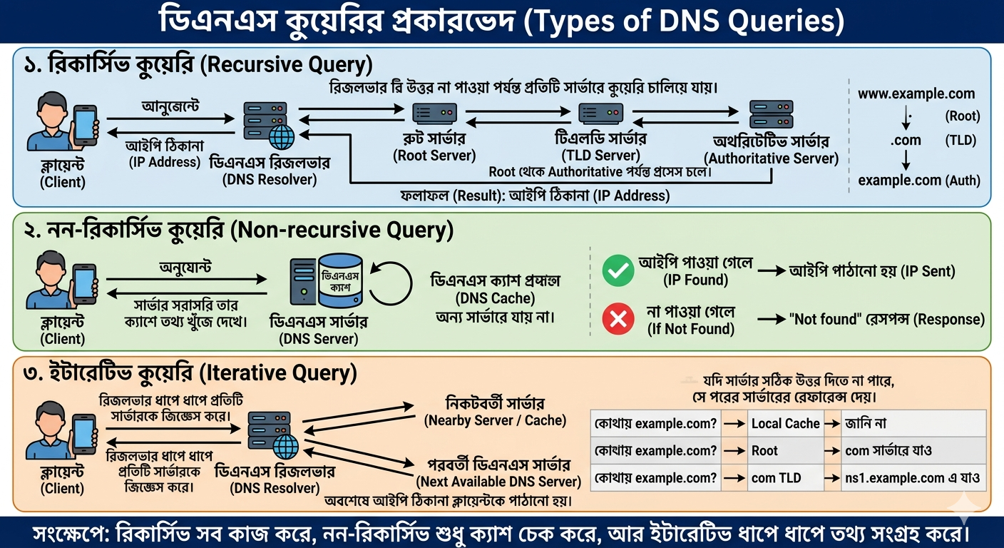 DNS Queries